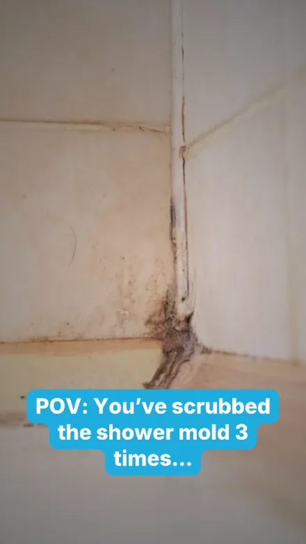 Mold growing inside your shower